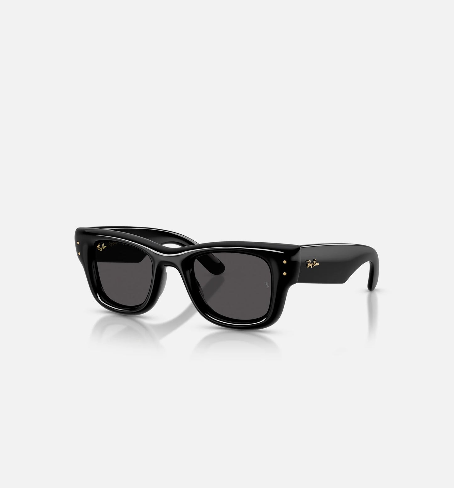 AAP Rocky x The Wayfarer Puffer Mens Sunglases Black
