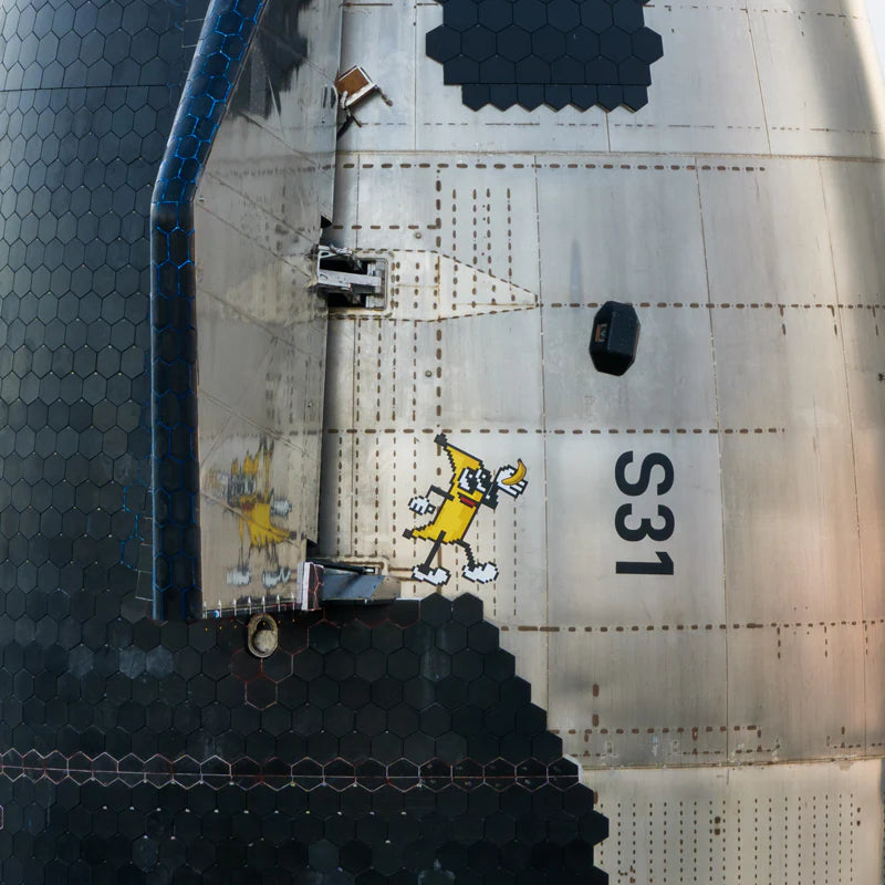 SPACEX BANANA FOR SCALE WALL DECAL
