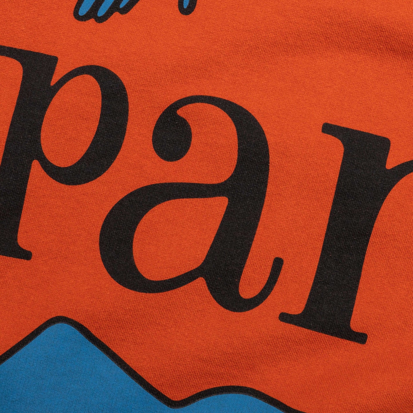Early Grab Crewneck Sweatshirt Sienna Orange