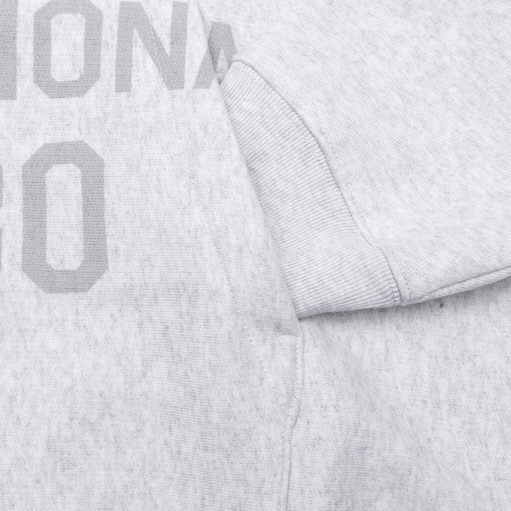 Established Printed Zip Hoodie Ash Heather