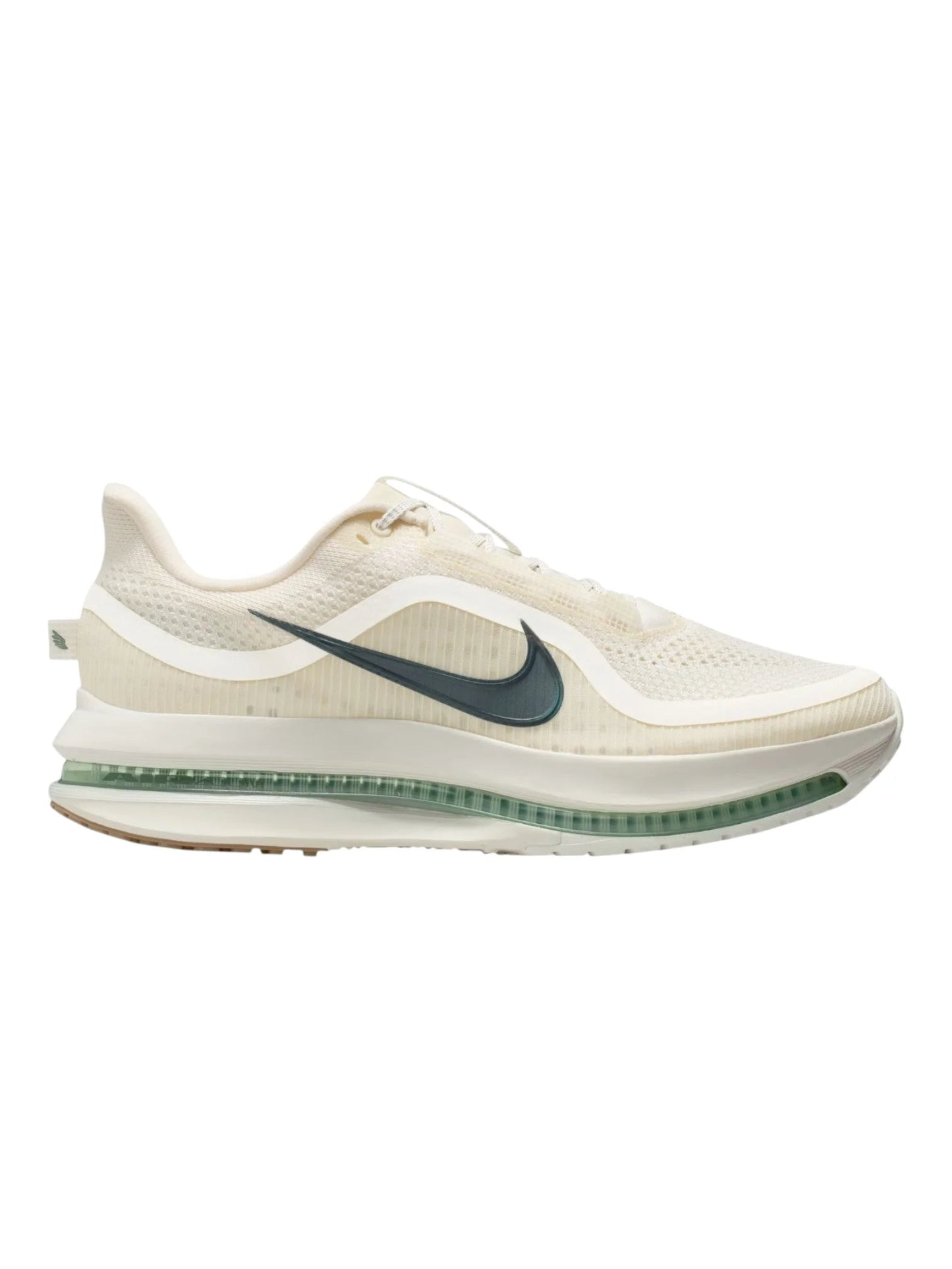 Nike Pegasus Premium Mens Shoes